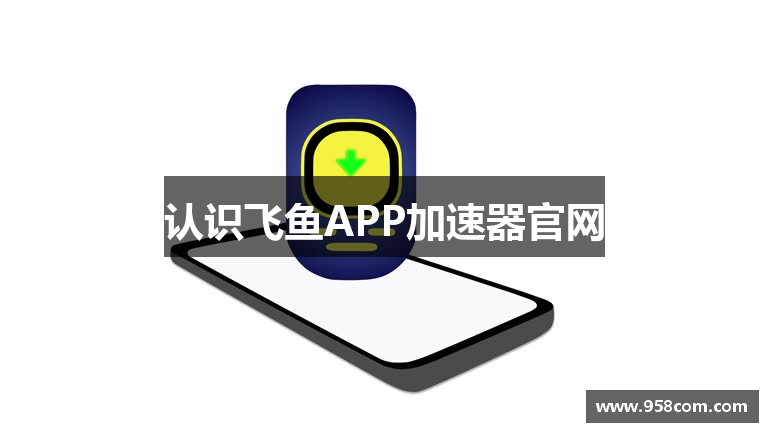 认识飞鱼APP加速器官网